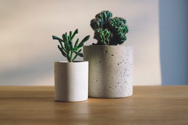 Os vasos geométricos de concreto são tendências e super fáceis de serem feitos. Para quem não tem essa disposição, é possível achar versões a preços camaradas no Mercado Livre e Etsy.